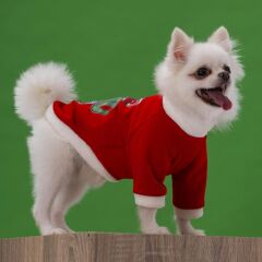 Yılbaşı Noel Kedi Köpek Kıyafeti Sweat Elbisesi Kostümü