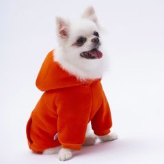 Turuncu Kanguru Cepli Kedi-Köpek Hoodie- Sweatshirt  Kedi Köpek Kıyafeti