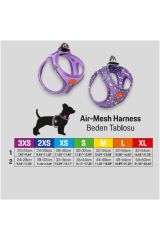 Balloons Air-mesh Göğüs Tasması Kedi Köpek Göğüs Tasması