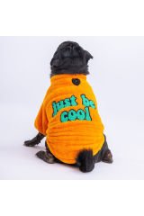 Sarı Just Köpek Sweati Köpek Kıyafeti Kedi Kıyafeti