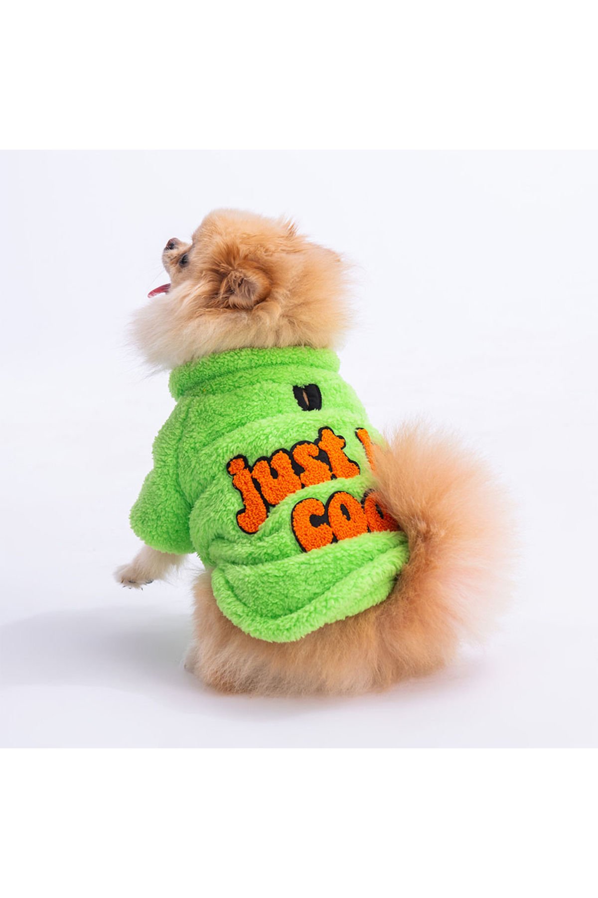 Yeşil Just Köpek Sweati Köpek Kıyafeti Kedi Kıyafeti