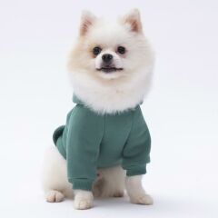 Çağla Yeşil Kanguru Cepli Kedi-Köpek Hoodie- Sweatshirt  Kedi Köpek Kıyafeti