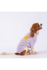 Lila Turtleneck Köpek Sweati Köpek Kıyafeti Kedi Kıyafeti