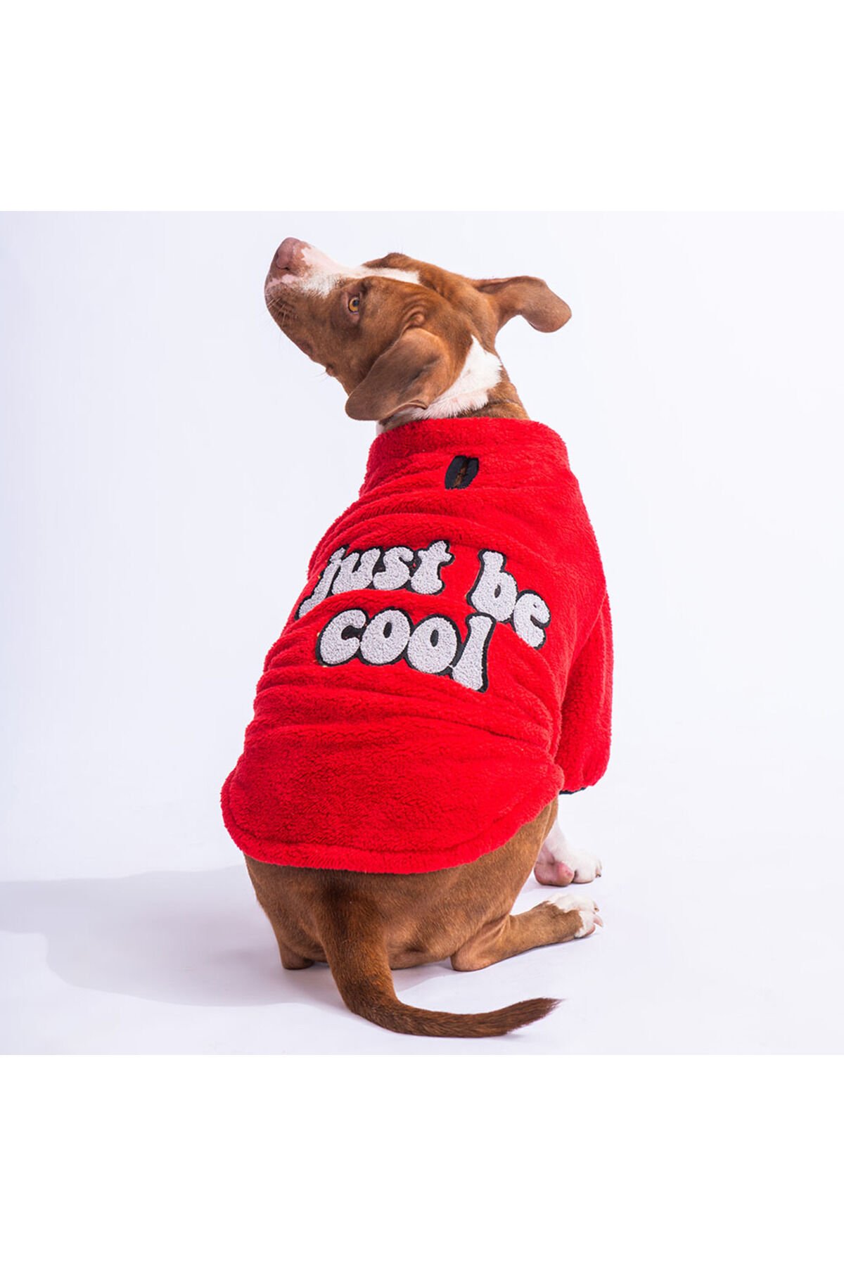 Kırmızı Just Orta ve Büyük Irk Köpek Sweati Köpek Kıyafeti Köpek Elbisesi