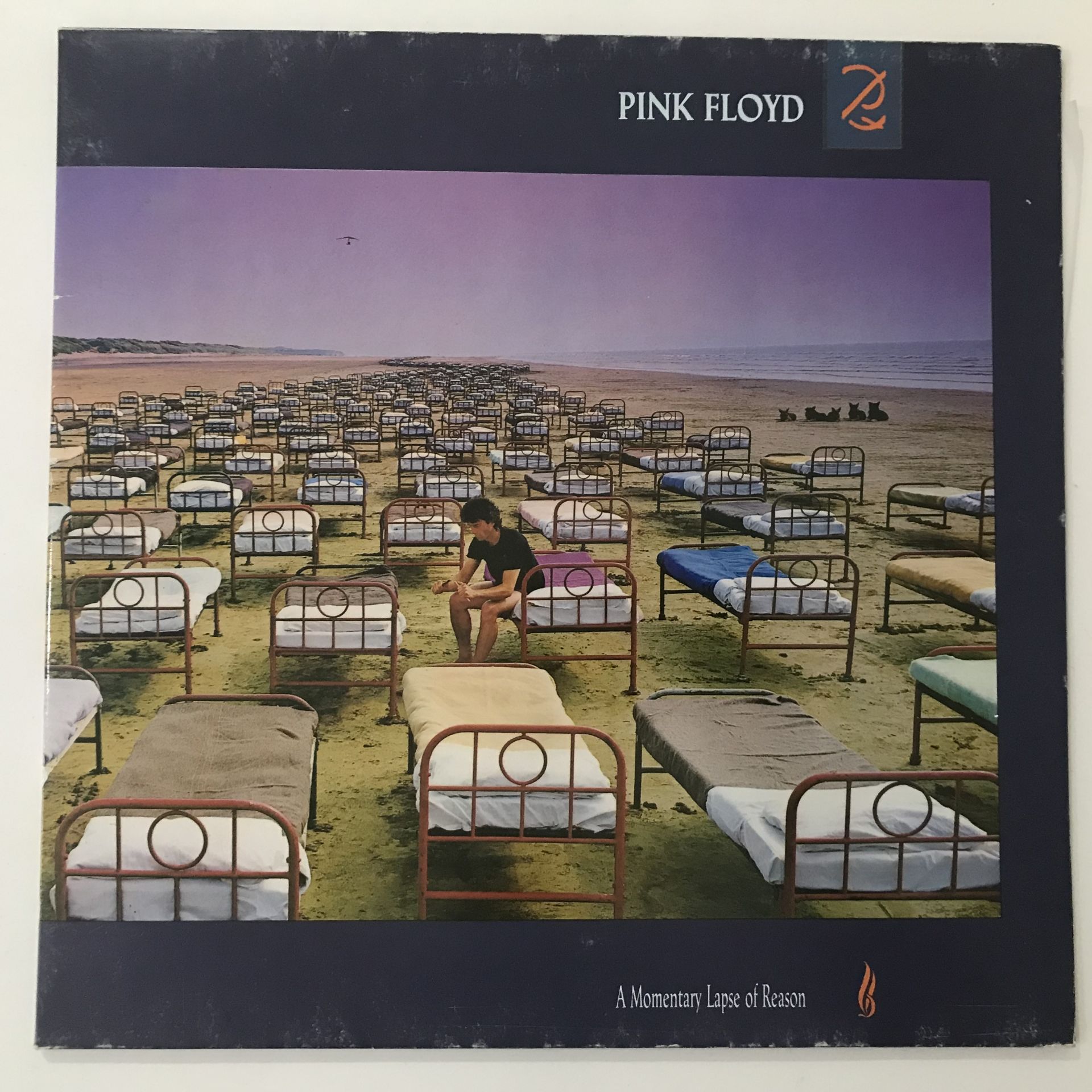 Pink Floyd ‎– A Momentary Lapse Of Reason