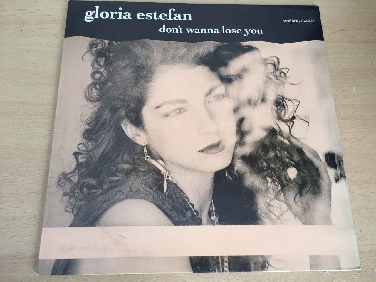 Gloria Estefan ‎– Don't Wanna Lose You