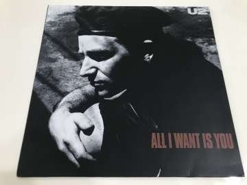 U2 – All I Want Is You