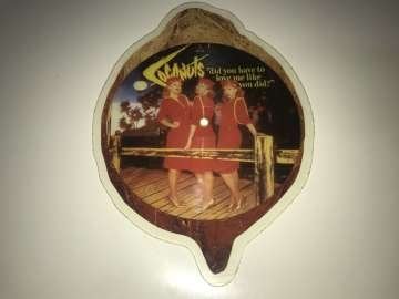 The Coconuts ‎– Did You Have To Love Me Like You Did (Resimli Plak)