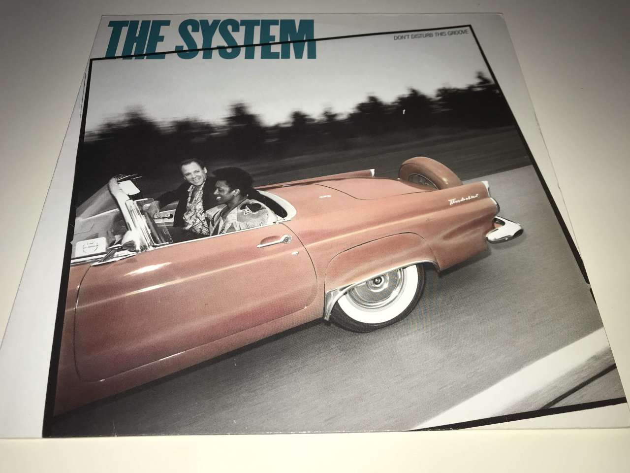 The System ‎– Don't Disturb This Groove