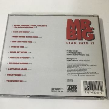 Mr. Big ‎– Lean Into It