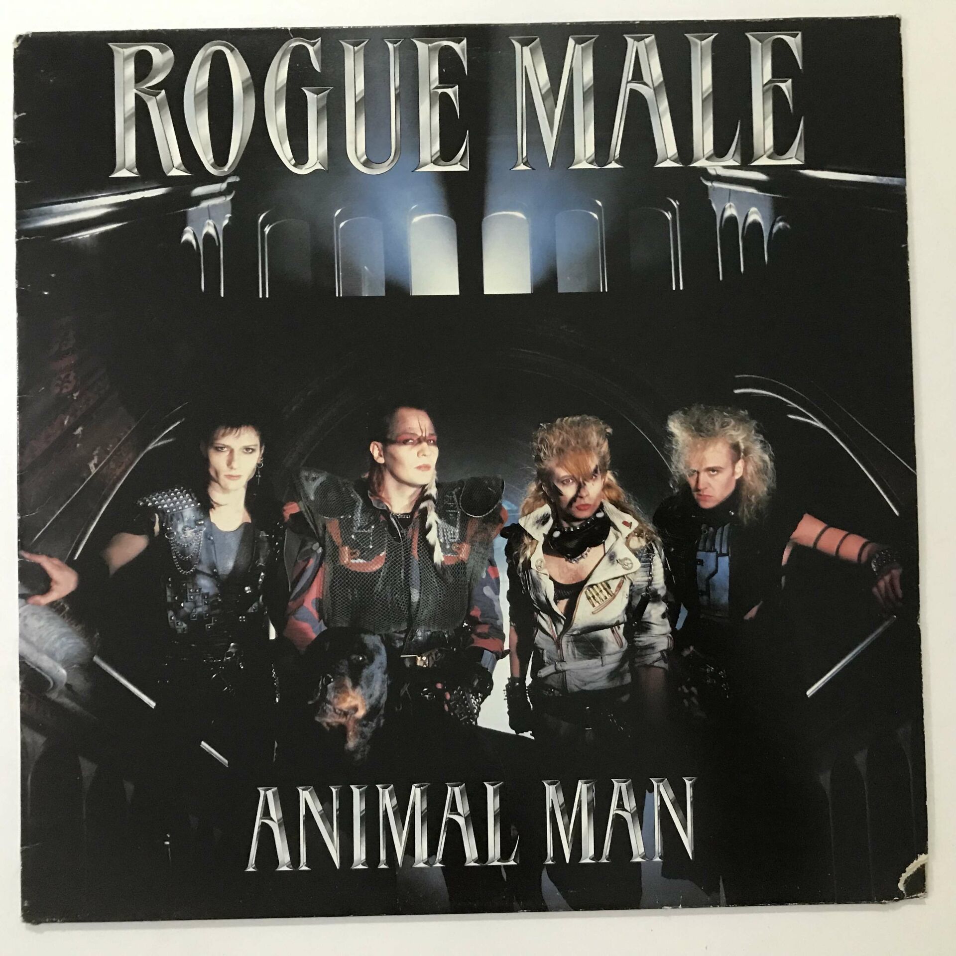 Rogue Male – Animal Man