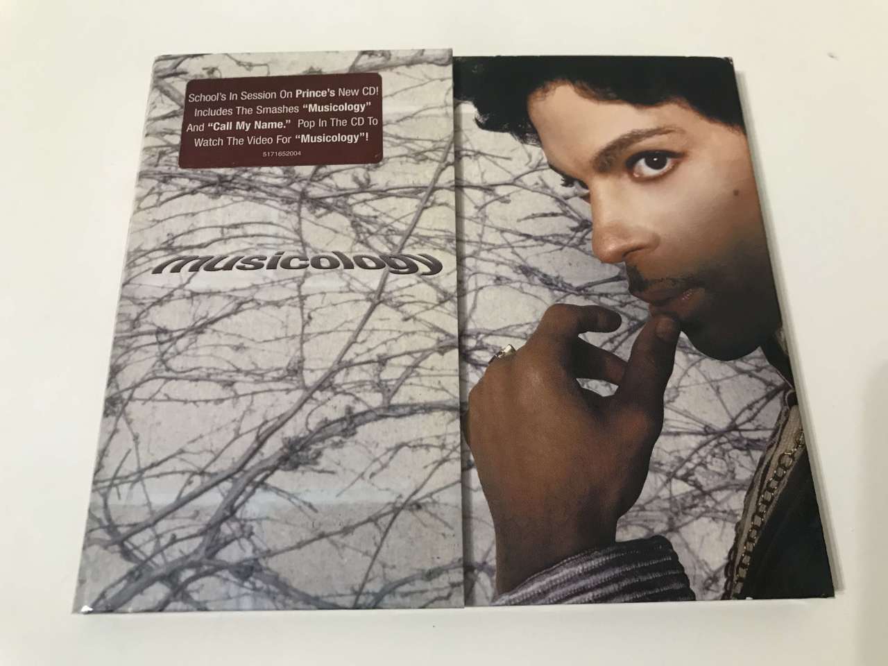 Prince – Musicology