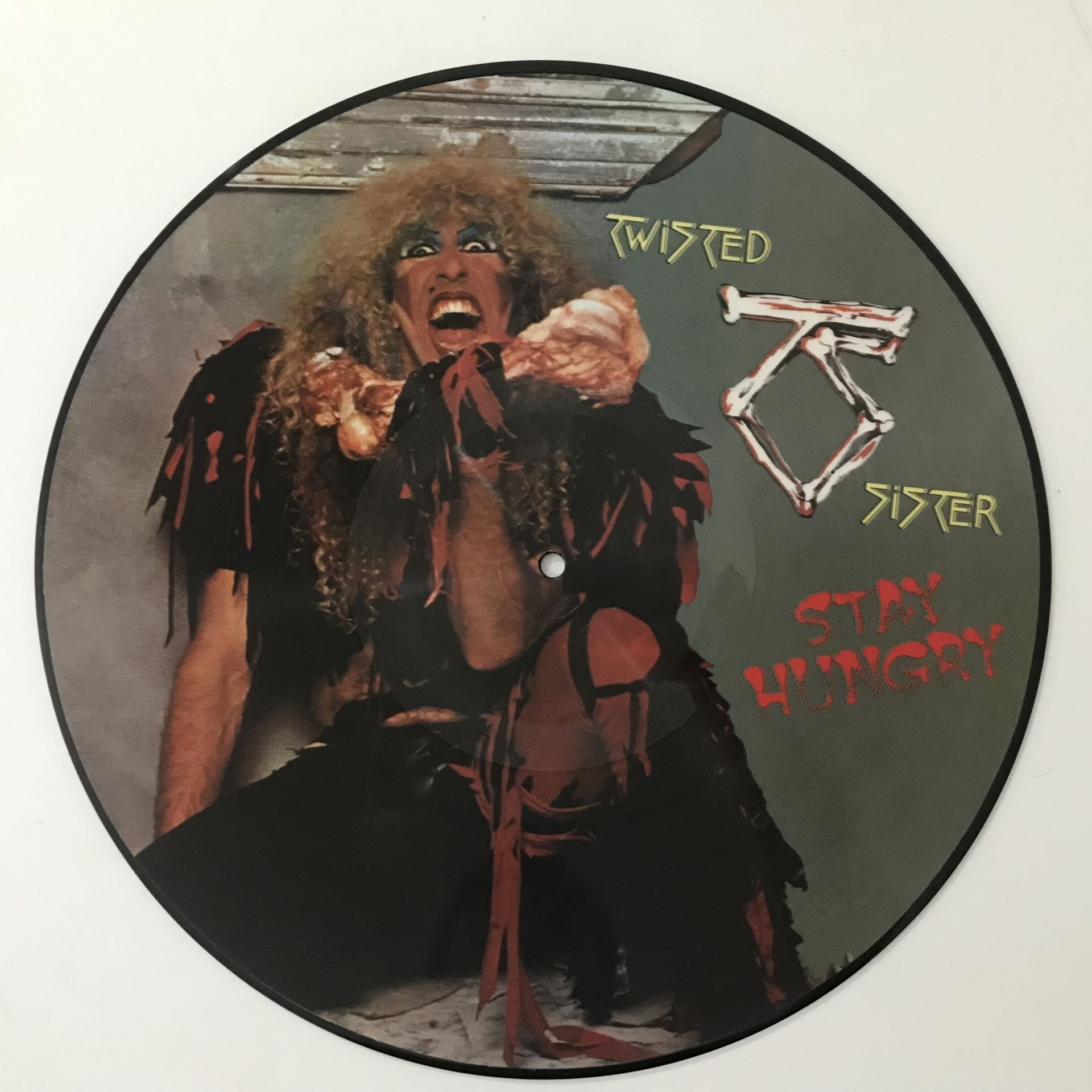 Twisted Sister – Stay Hungry (Resimli Plak)