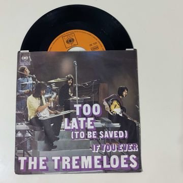 The Tremeloes – Too Late (To Be Saved)