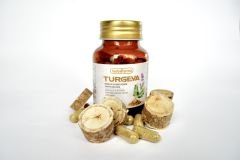TURGEVA