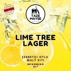 Lime Tree Lager