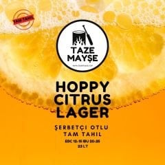 5 Litre Hoppy Citrus Taze Mayşe