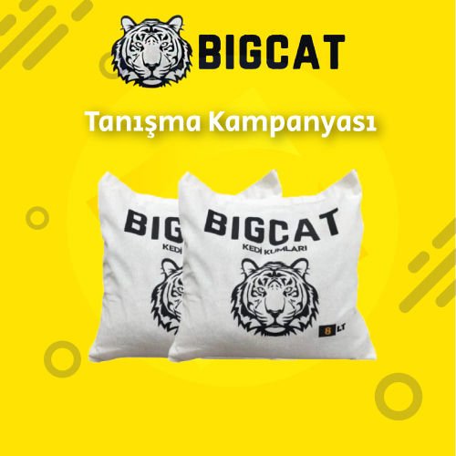 BigCat Klasik Tanışma Kampanyası