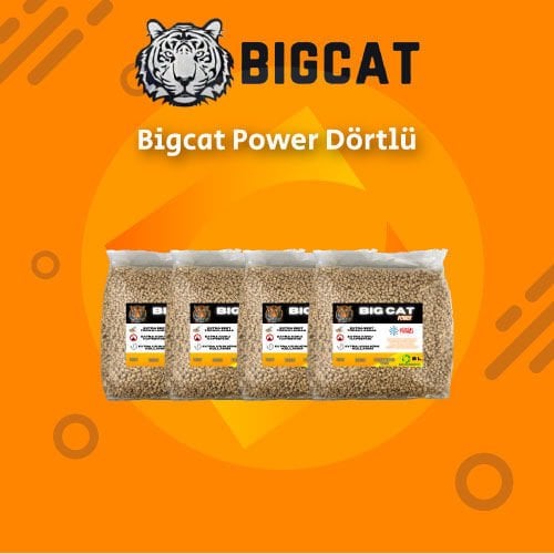 Bigcat Power Dörtlü Kampanya32 LİTRE