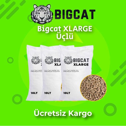 BigCat XLARGE Üçlü