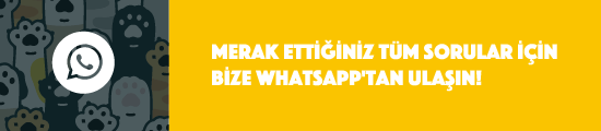 Whatsapp Bilgi