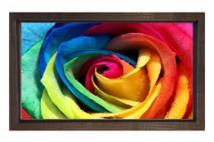 Renkli Gül Çiçeği Tablosu Kahverengi Ahşap Çerçeve - 100x150
