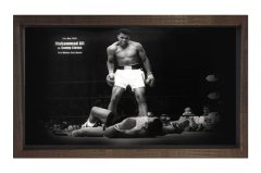 Muhammed Ali Ringde Tablosu