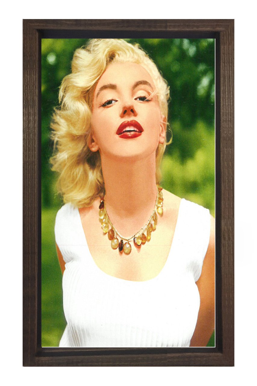 Marilyn Monroe Tablosu