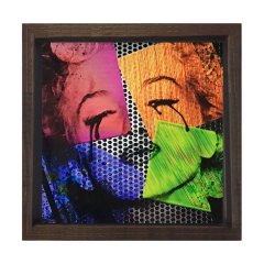 Marilyn Monroe Tablosu