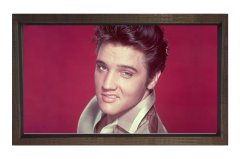 Elvis Presley Tablosu