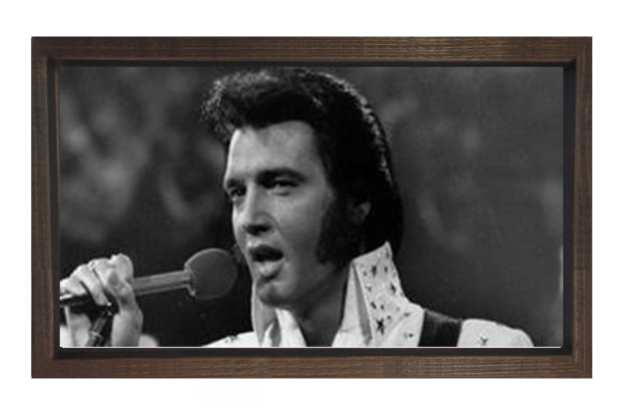 Elvis Presley Siyah Beyaz Tablosu