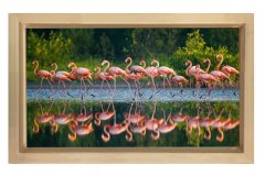 Flamingolar Tablosu Naturel Ahşap - 50x90