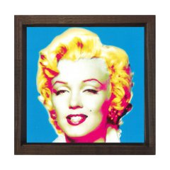 Marilyn Monroe Tablosu