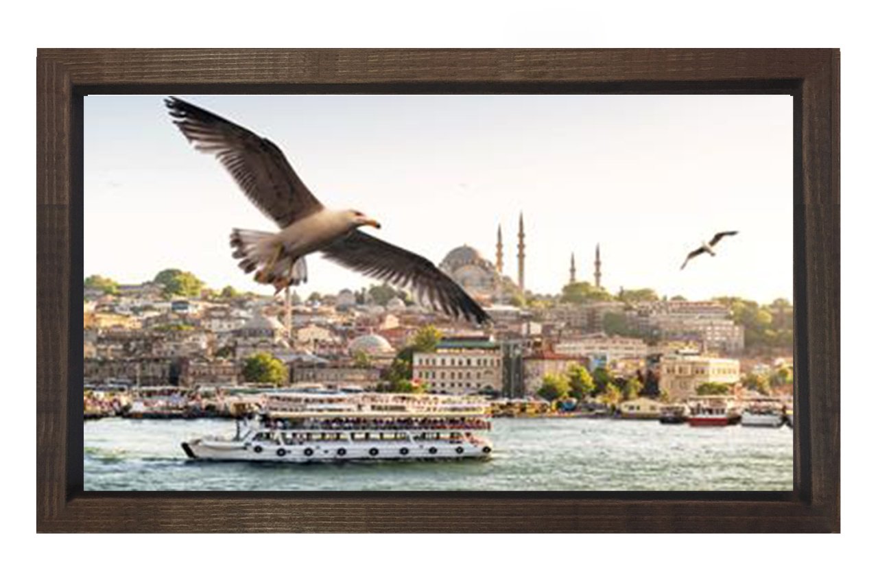 İstanbul ve Martılar Tablosu