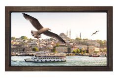 İstanbul ve Martılar Tablosu