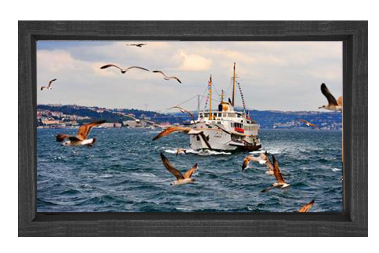 Yolcu Gemisi ve Martılar Tablosu Siyah Ahşap Çerçeve - 45x30