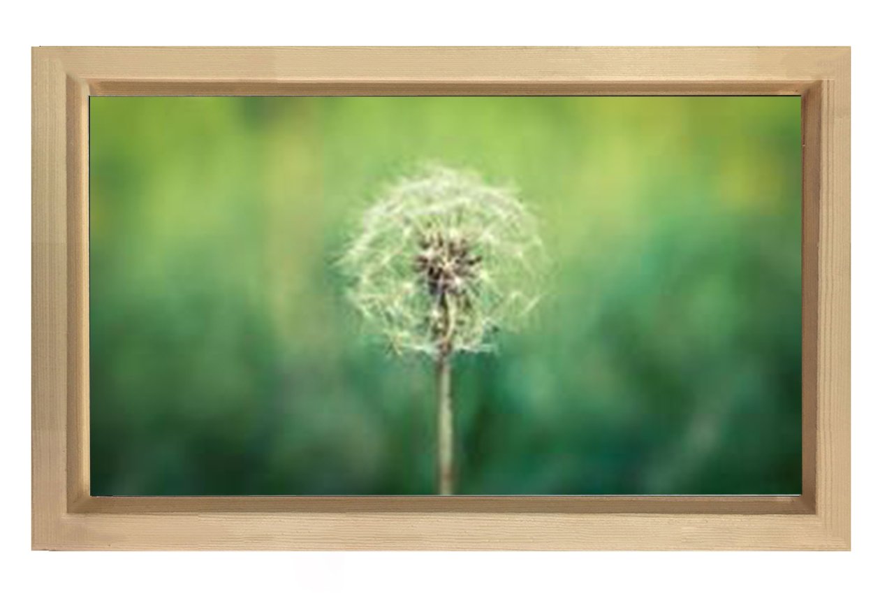 Karahindiba Çiçek Tablosu Naturel Ahşap Çerçeve - 100x150