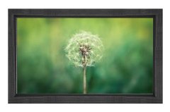 Karahindiba Çiçek Tablosu Siyah Ahşap Çerçeve - 100x150