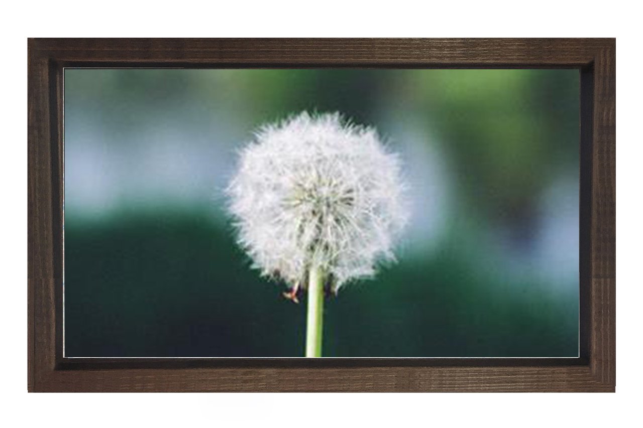 Karahindiba Tablosu Kahverengi Ahşap Çerçeve - 100x200