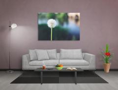 Karahindiba Tablosu Naturel Ahşap Çerçeve - 50x70