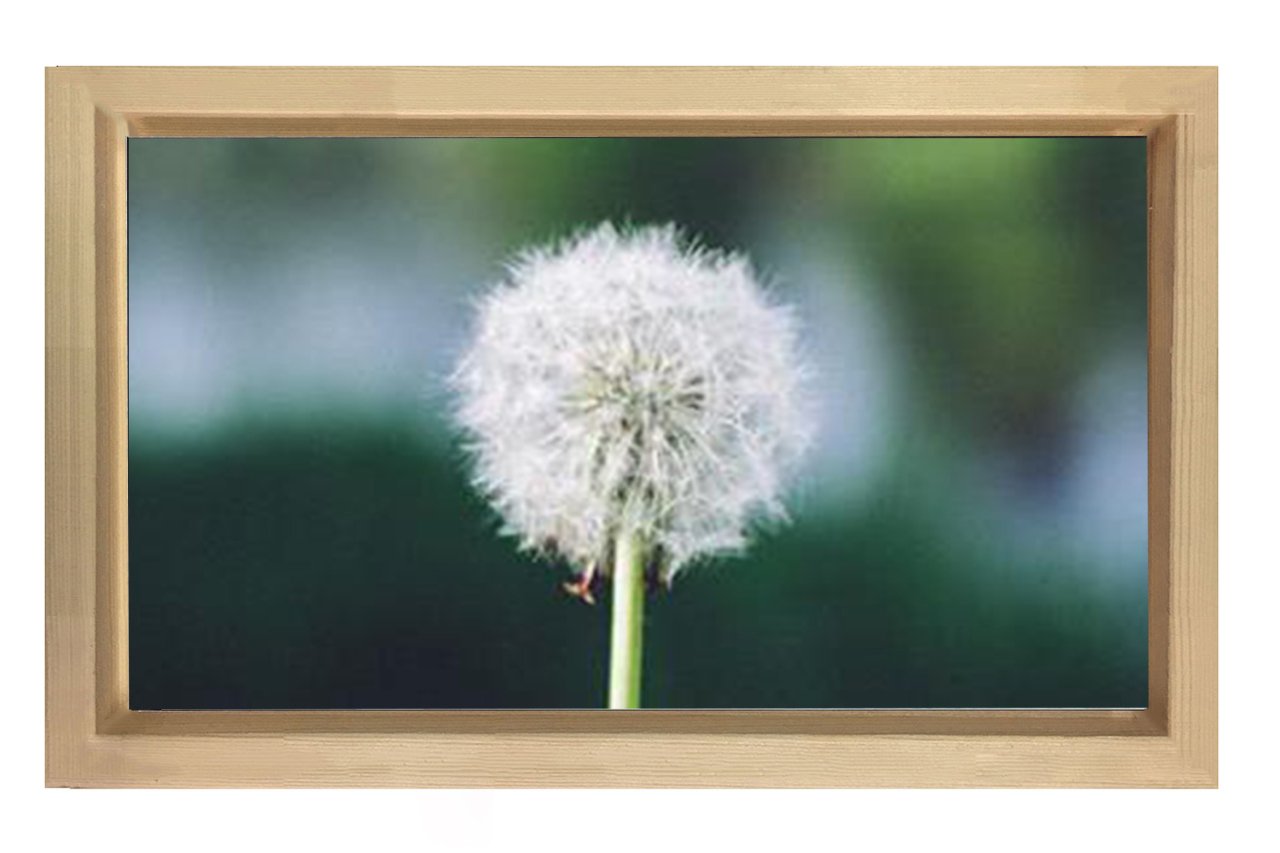 Karahindiba Tablosu Naturel Ahşap Çerçeve - 70x100