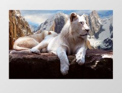 Kar Aslanı Tablosu Çerçevesiz - 40x60