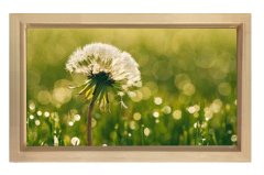 Karahindiba Çiçek Tablosu Naturel Ahşap Çerçeve - 70x100