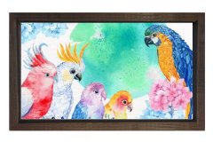 Papağanlar Tablosu Kahverengi Ahşap Çerçeve - 50x90