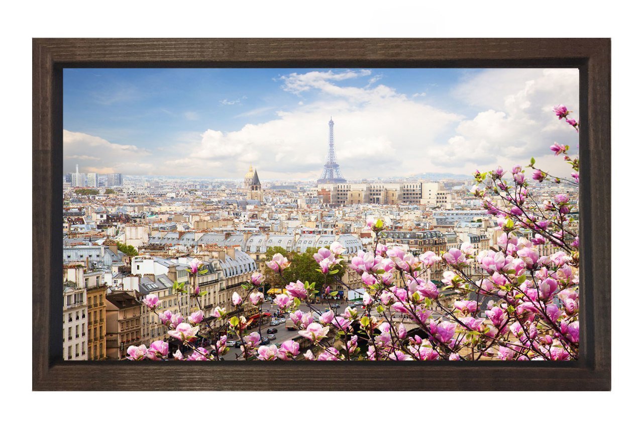 Pembe Çiçekler Ve Paris Tablosu