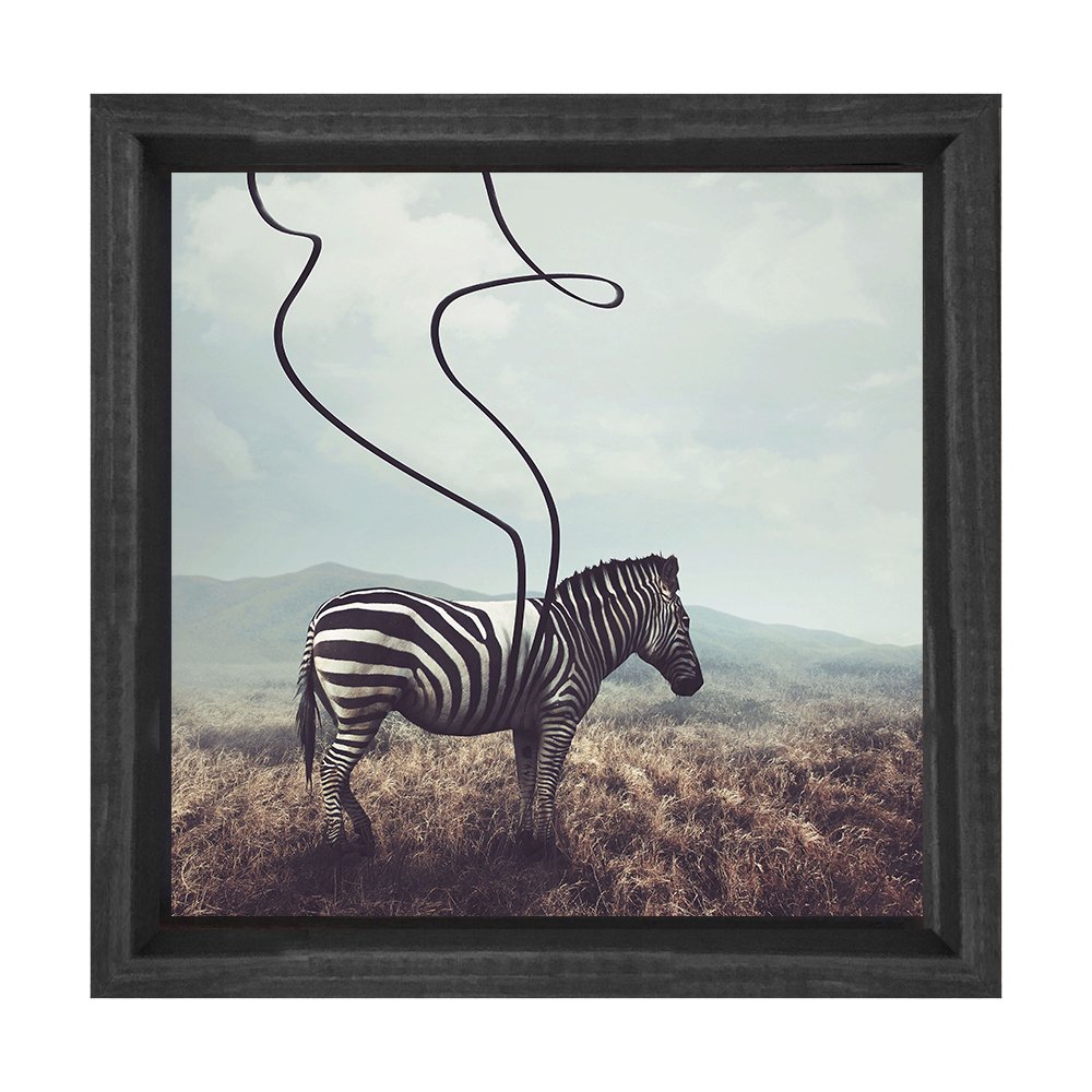 Zebra Tablosu