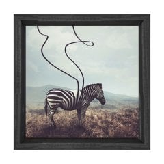 Zebra Tablosu
