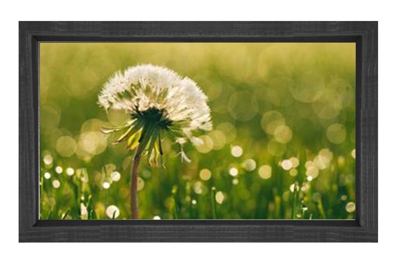 Karahindiba Çiçek Tablosu Siyah Ahşap Çerçeve - 50x90