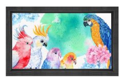 Papağanlar Tablosu Siyah Ahşap Çerçeve - 50x70