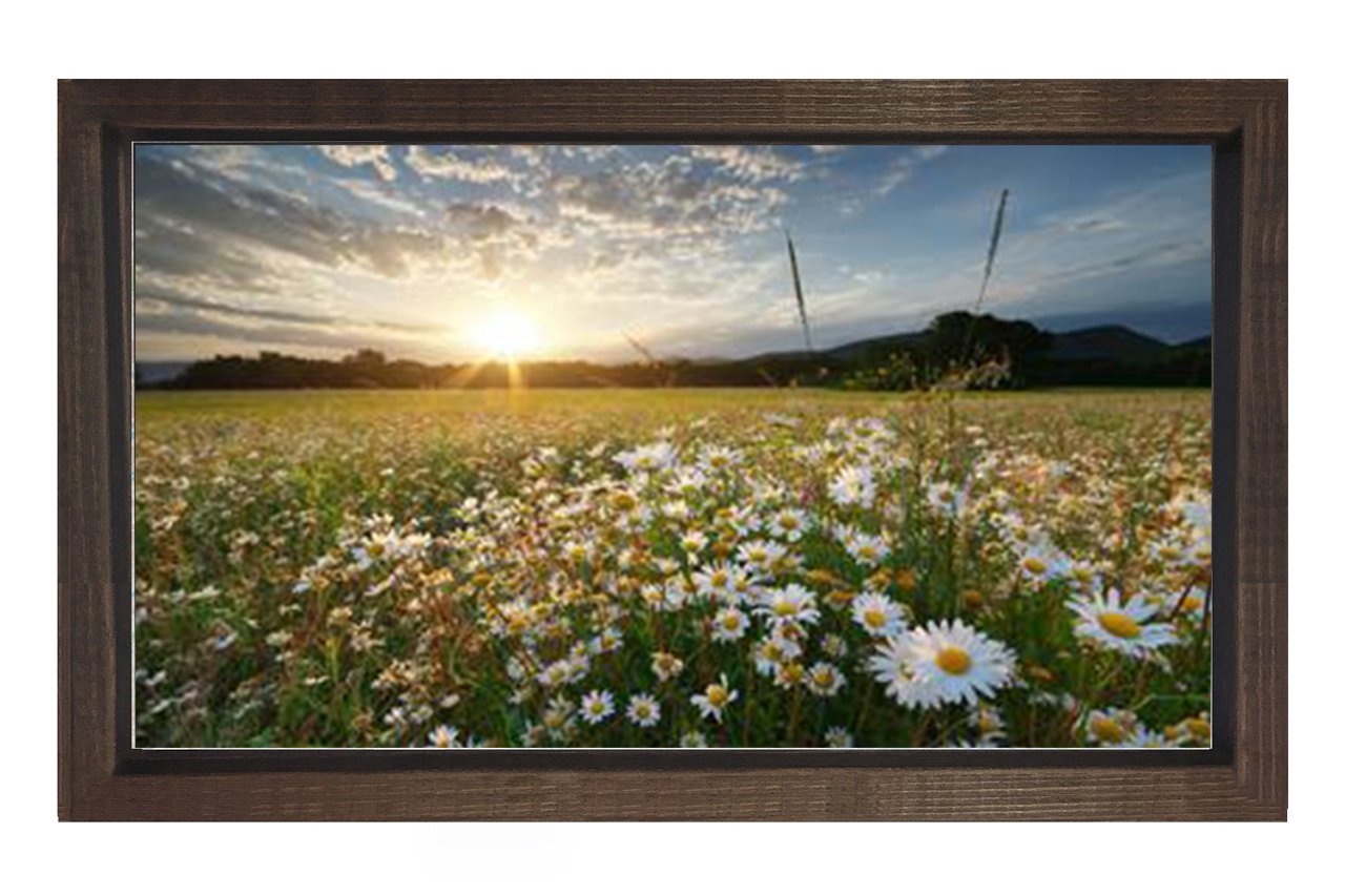 Papatyalar Ve Gökyüzü Manzara Tablosu Kahverengi Ahşap - 100x150